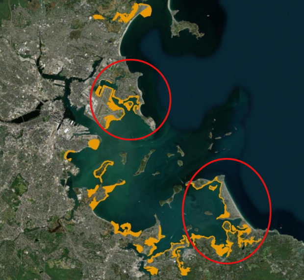 Boston Harbor shellfishing poised to reopen after a century